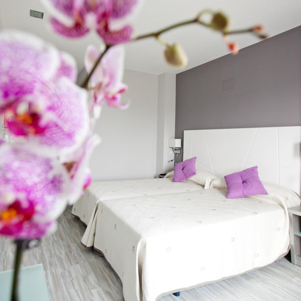 Alix Boutique Hotel Arteixo Exterior photo